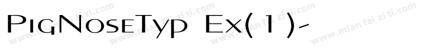 PigNoseTyp Ex(1)字体转换